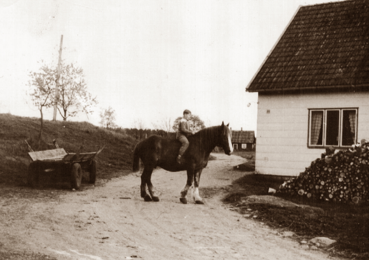 Rolf på ardennern Diana framför grannens hus